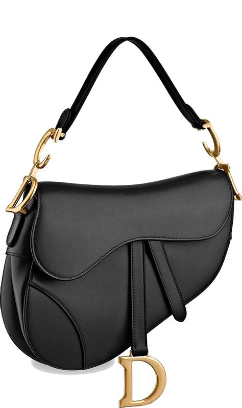 dior saddle bag cost